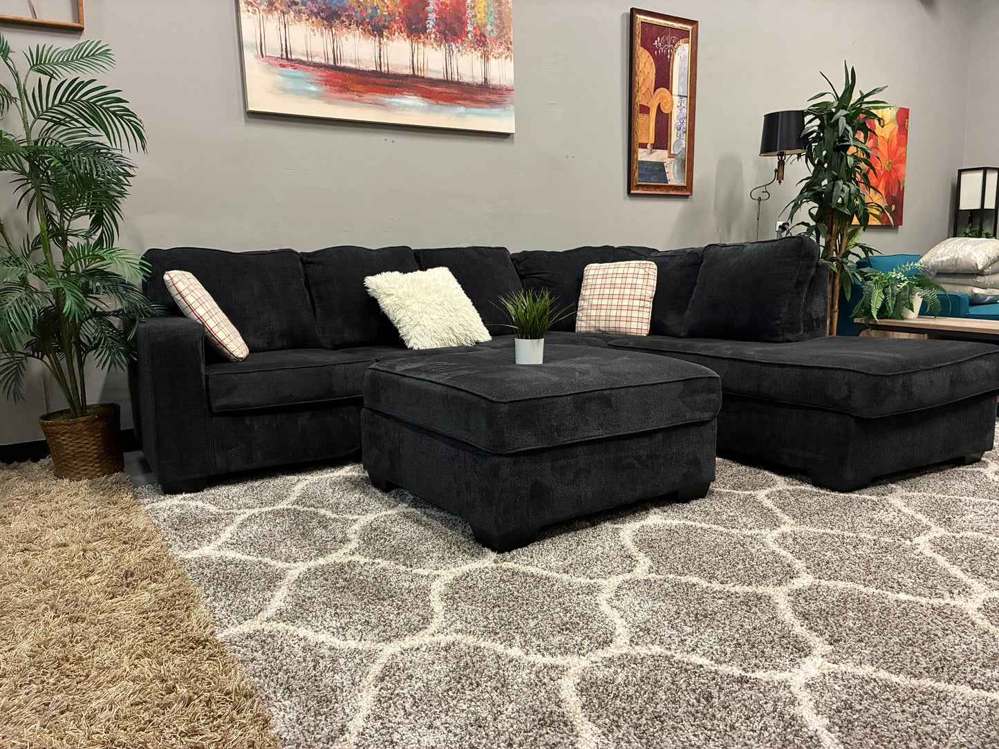 Modern Charcoal U-Shape Sectional with Ottoman