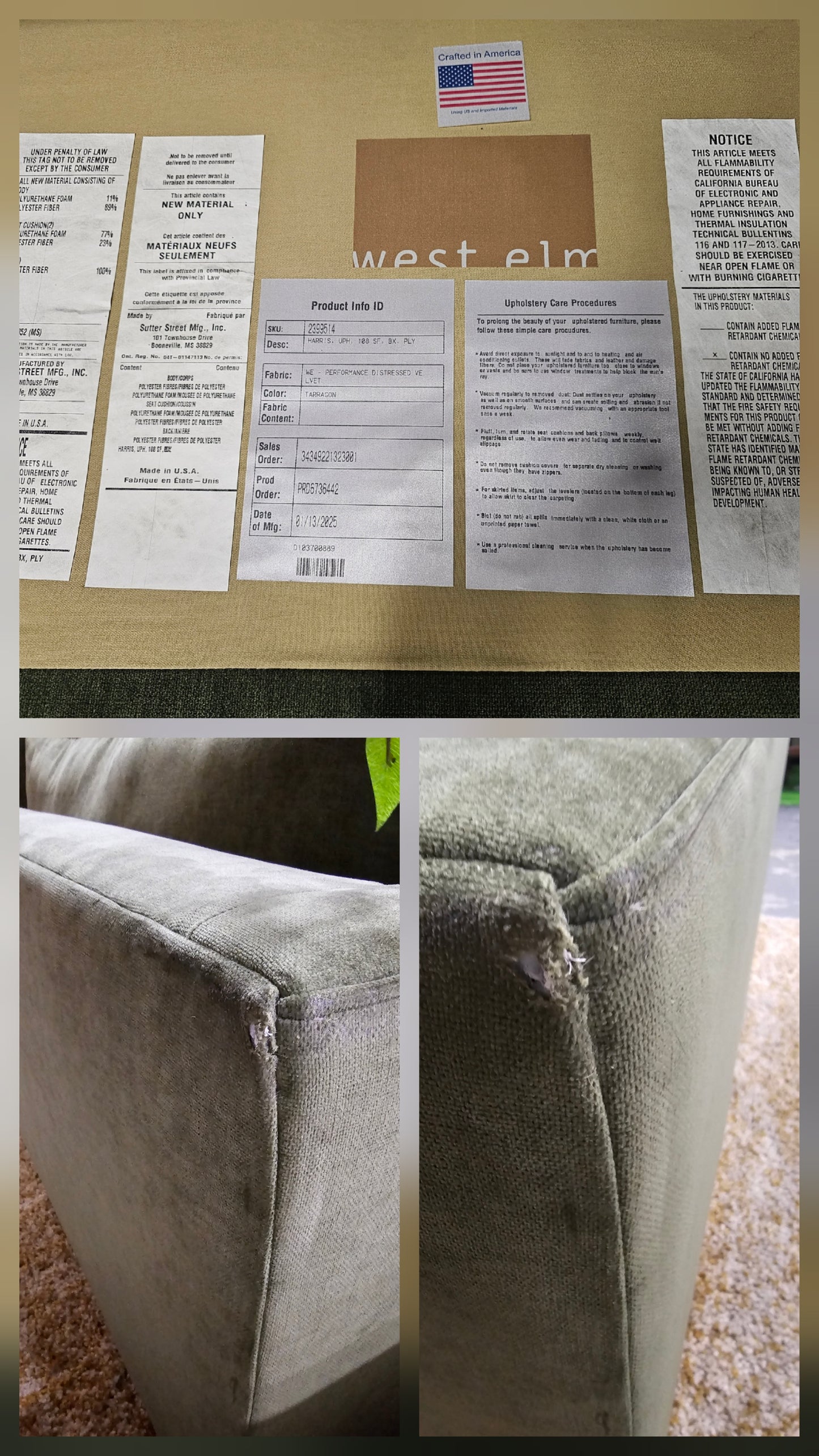 West Elm Olive Green Sofa